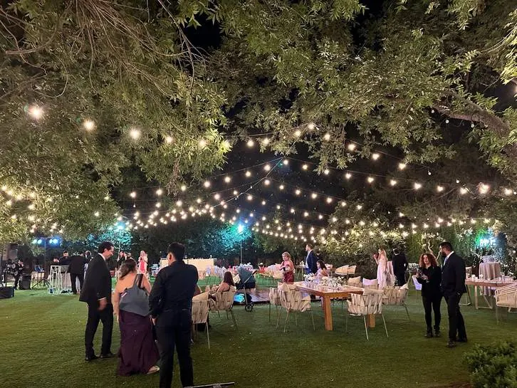 Luces vintage cálidas decorando un jardín